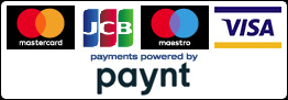Paynt Payment Options